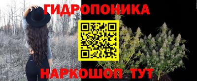 СК Канаш