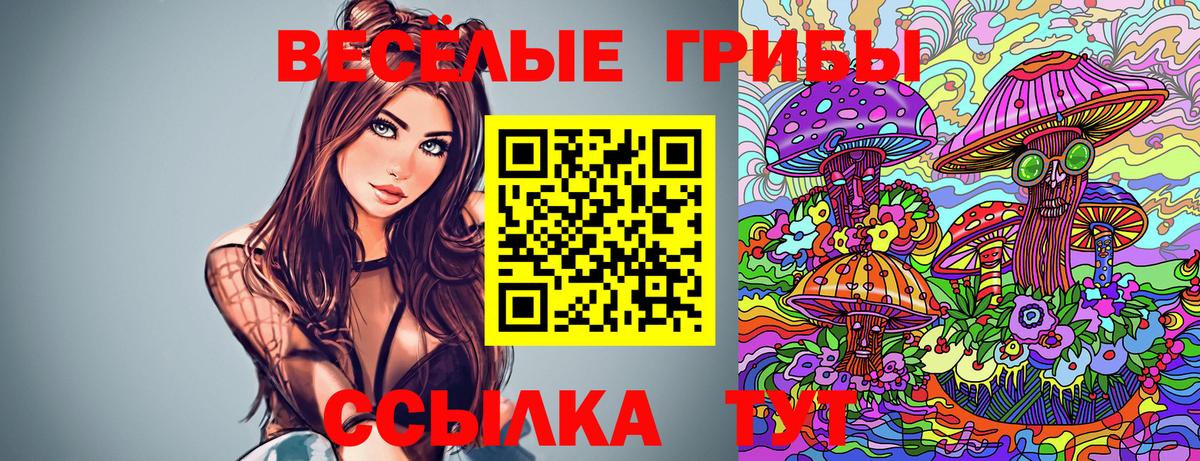 Псилоцибиновые грибы ЛСД  Галлюциногенные грибы Cubensis  магазин  наркотиков  Усть-Илимск  Вход с VPN 