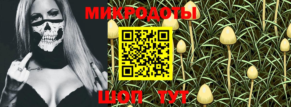 Псилоцибиновые грибы прущие грибы Усть-Илимск